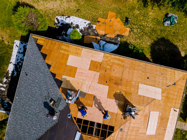 Best Storm Damage Roof Repair  in Providence, UT