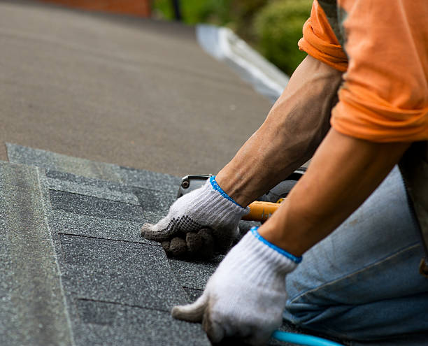 Best Shingle Roofing Installation  in Providence, UT